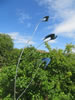 Migration - Stainless steel, approx 2meters
