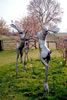 Rivals - 8 foot stainless steel