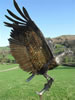 Flyfishing - stainless steel lifesize