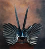 Argus Pheasant - life size in stainless steel